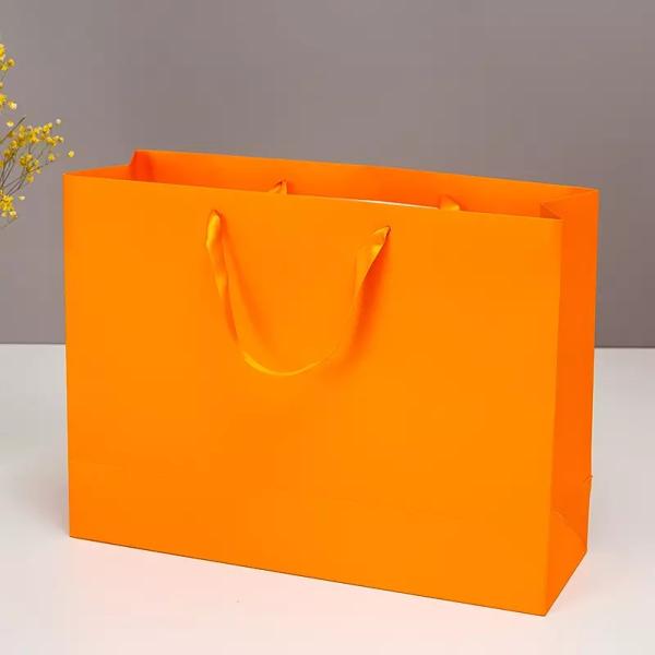 Jewellery Printed Paper Carrier Bags 200gsm Paper Gift Bag With Handles