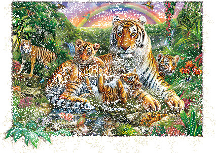 PET Plastic Material 5D Lenticular Image Frosted / Matte Finish