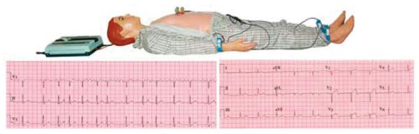 High Tech Elastic PVC Electrocardiogram Auscultation Simulator for Hospitals Learning ECG