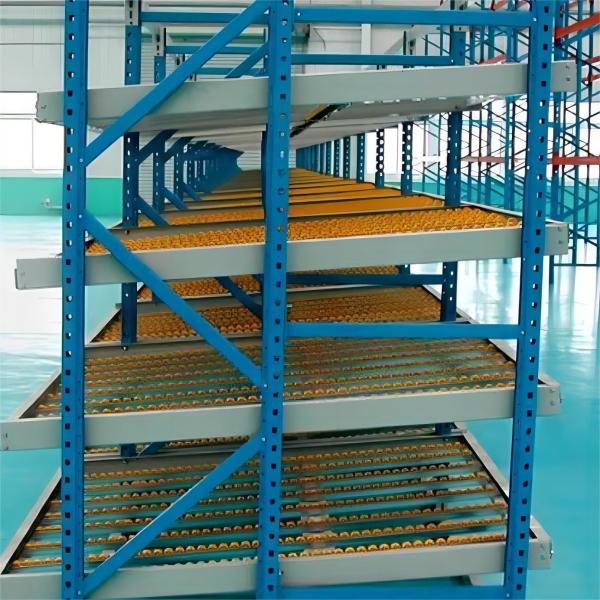 Common Fluent Shelf Carton Flow Racking Made of Q235 Material at Nanjing for Everyday