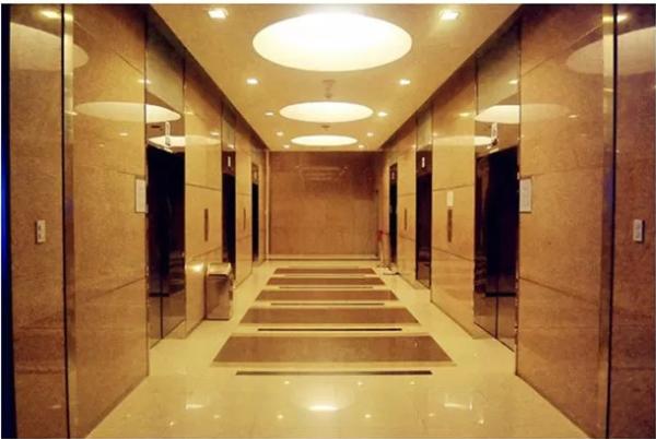 10 elevadores hidráulicos residenciais da casa dos elevadores 1.75m/s das pessoas 1150KG