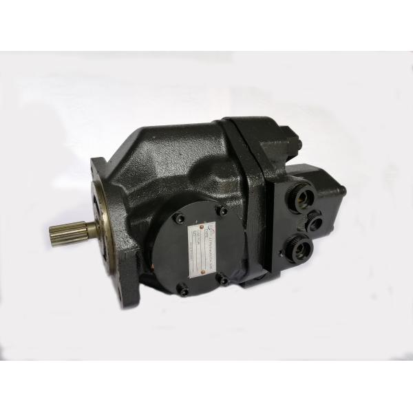 OEM Standard Excavator Hydraulic Pump Main Pump AP2D21 For Kawasaki CAT Kobelco