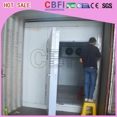 Chicken Fruit Frozen Container Cold Room With Italy Brand Castal