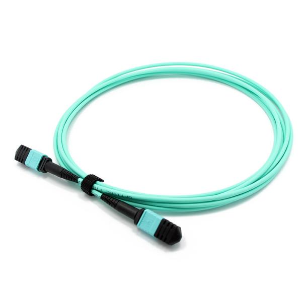 Femelle de 12 fibres MTP aux mètres faits sur commande de corde de correction de la femelle OM3 3.0mm LSZH MTP de MTP
