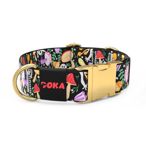 Colorful Nylon Dog Collar – Adjustable, Durable, Lightweight Pet Collar For All Dogs