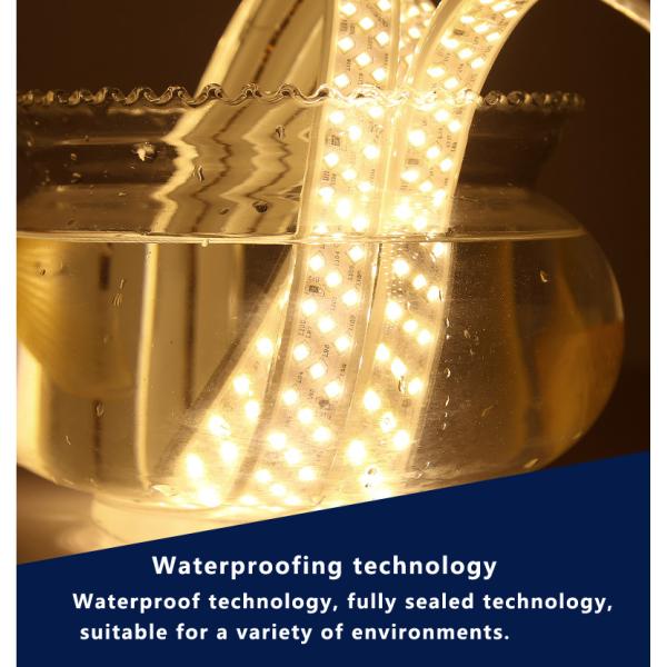 15kg Product Weight Festival Strip Light 3 2835 2700k 24v 12v SMD 2835 LED Strip