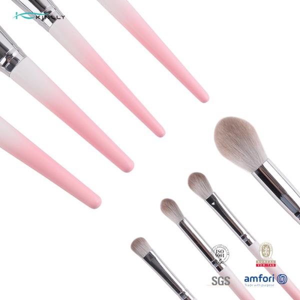 A composição da sombra para os olhos do cabelo de PBT escova ocultadores sintéticos do pó da fundação 13Pcs