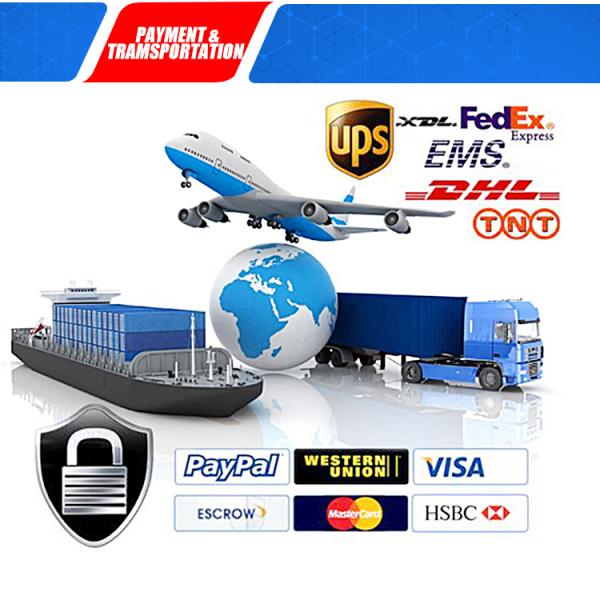 Уплотнение пыли PU экскаватора гидравлическое, голубое уплотнение счищателя DHS цвета