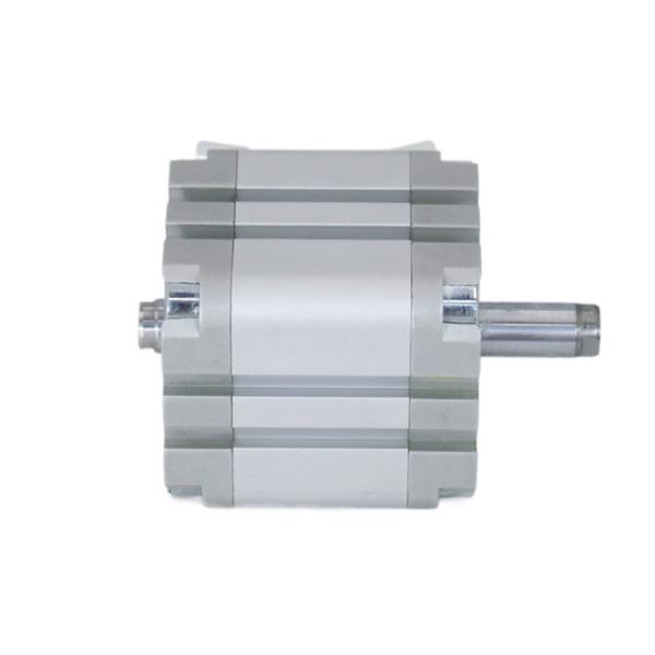 ADVU-40-5-A-P-A 156626 cilindro pneumático para ambientes adversos