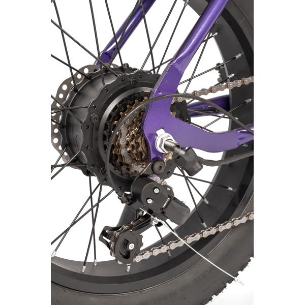 Customized 36V 500w Electric Bicycle Foldable Design for Easy Storage and Transport