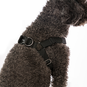 Comfort Patented Choke X Frame Nylon Dog Harness