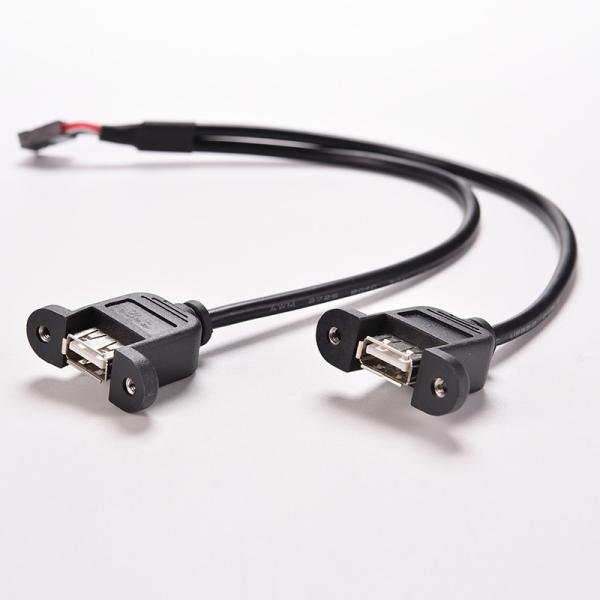 30cm Motherboard Internal 9pin Pitch 2.54mm to Dual Port USB 2.0 A Female Screw Lock Panel Mount Cable