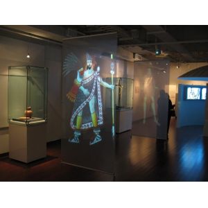 Self Adhesive Holographic Projection Film with 100um Thickness and 165° View Angle for 5 Years Durability