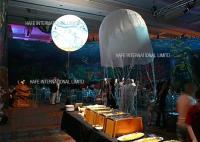 Caliéntese/logotipo ligero inflable de la publicidad de Luminaid del globo neutral del blanco LED modificado para requisitos particulares