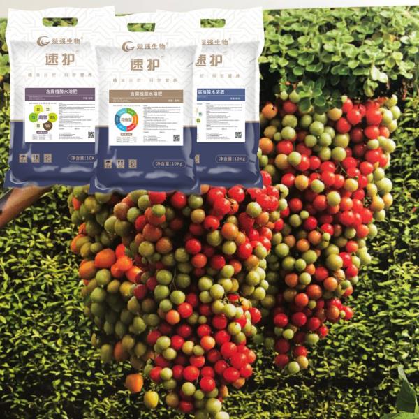 Suhu Water Soluble Biological Fertilizers Powder Humic Neutralizing Acid Soil