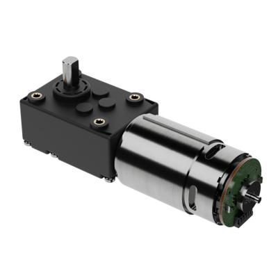 30 Rpm 12v Worm Drive Motor For Massage Chair