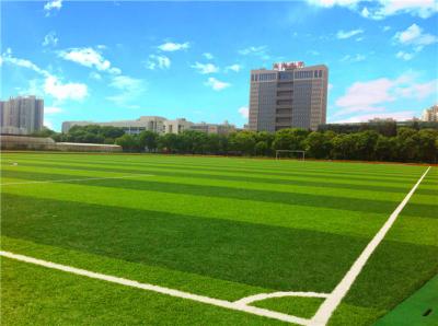 Grama sintética do campo de jogos profissional, padrão sintético de FIFA do relvado do campo de jogos
