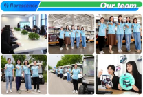 Carro de golf eléctrico utilitario de 4+2 plazas compatible con OEM, carrito de golf eléctrico, batería de litio de 70 V