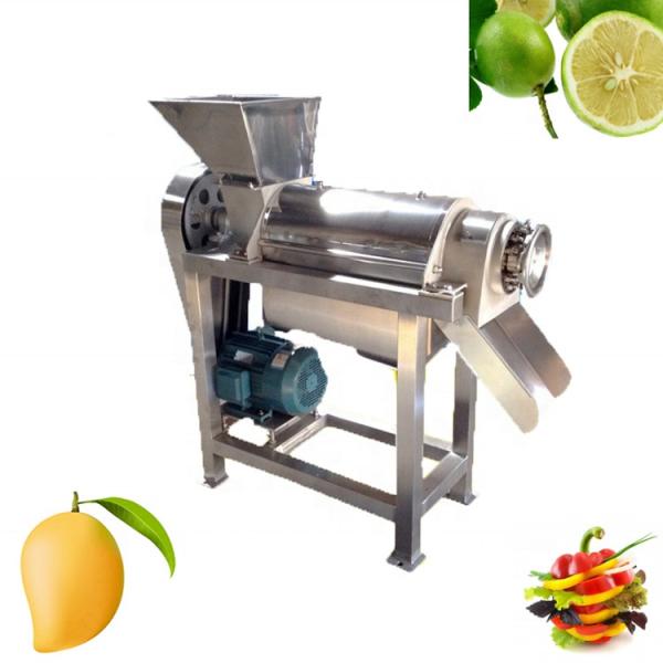 Machine de fabrication de jus de fruits de haute qualité pour le commerce Machine d'extraction de jus industrielle