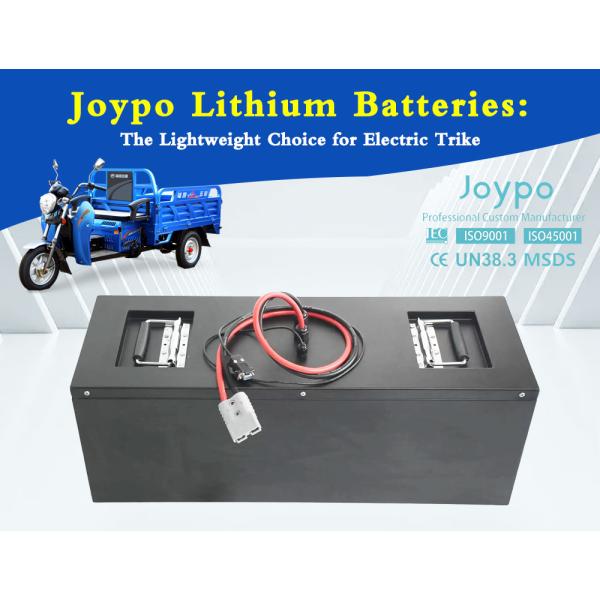 Electric Cargo Tricycle Lithium Battery 48V 125Ah For 3 Wheel Electric Vehicle