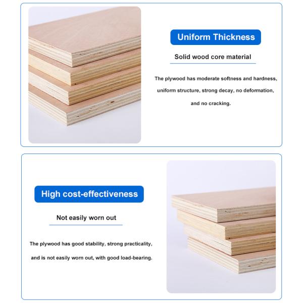 White faced plywood 16mm melamine laminated plywood