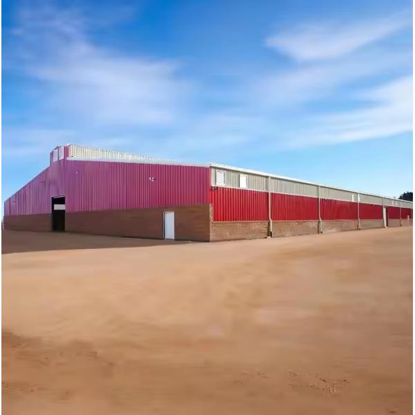 Économique Structure en acier léger Poulet maison, bâtiments agricoles préfabriqués