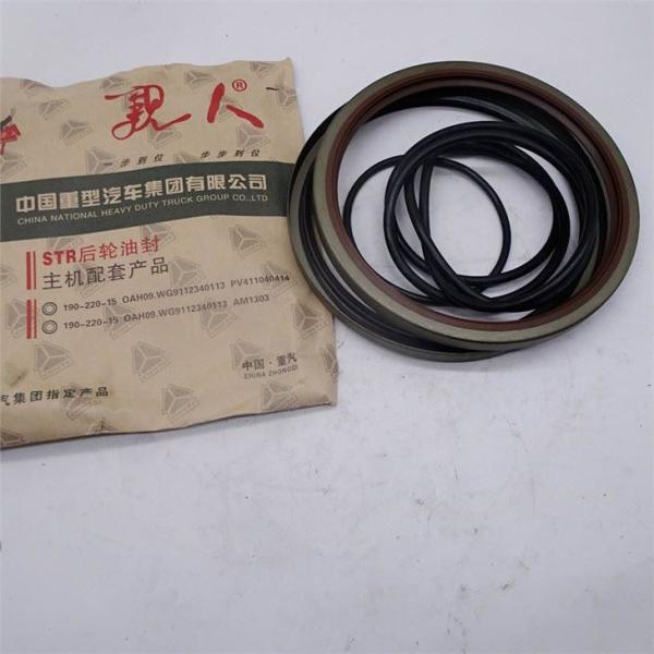 Rear Wheel Oil Seal Howo Truck Parts WG9112340113