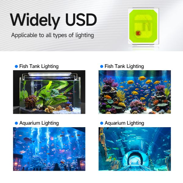 2835 Aquarium SMD LED Chip with 3-in-1 Spectrum Architecture High-Voltage Low-Current Design and Phosphor-Converted Green for Plant Grow Coral Reef Fish Color Tank Light