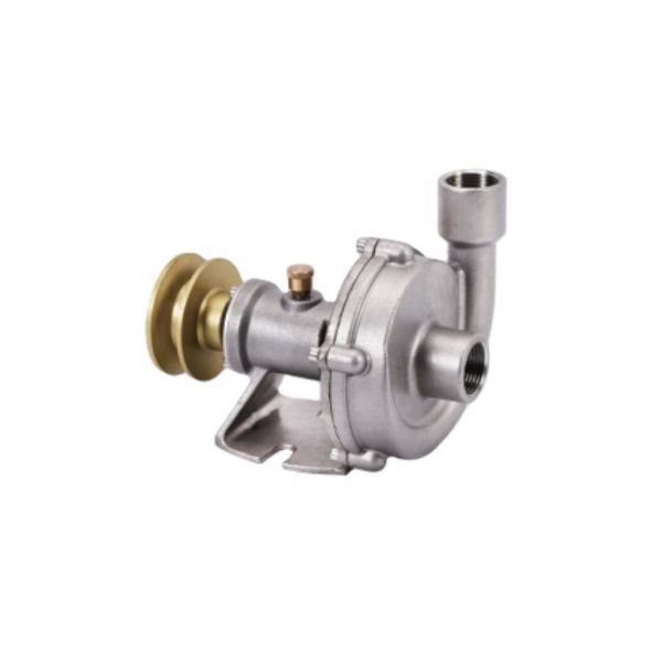 Marine 1 Inch Sea Water Pump for Boat Ship Vessel