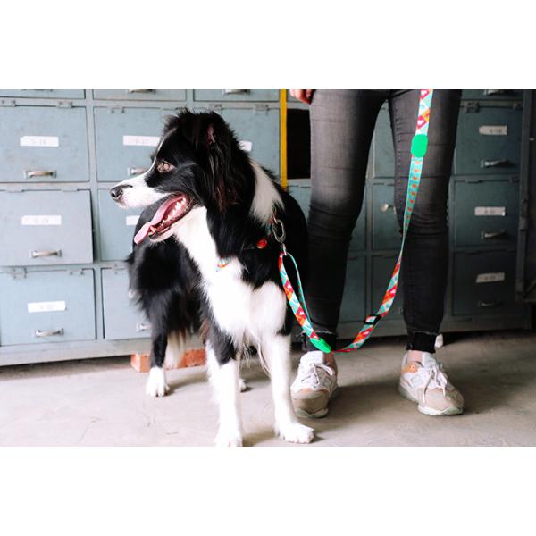 3.66m 12 Foot Anti Pull Dog Leash No Pull Lead For Dogs