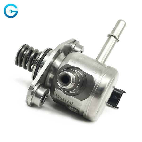 Direct Manufacturer Low Moq Fuel Pump for Gmc Terrain 12641847