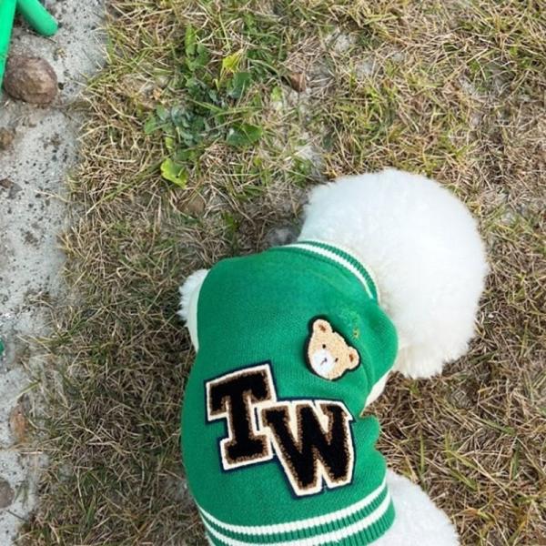 Static Proof Pet Clothing Winter Jacket Cat Clothes Reflective Strips Eco Friendly