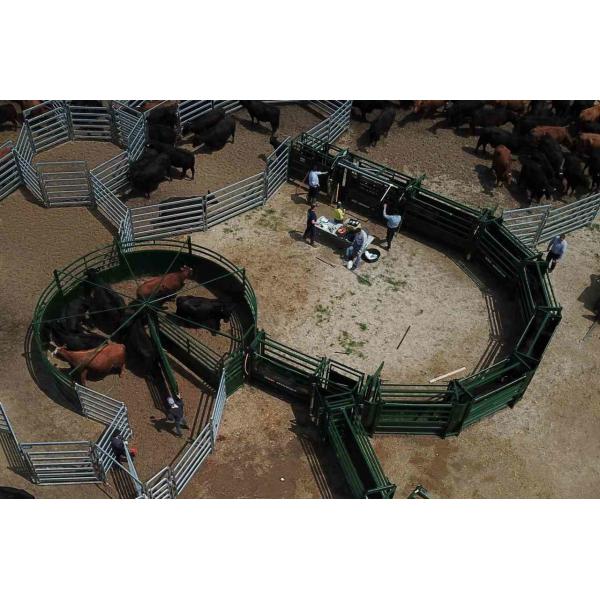 12 Ft Unique Cowboy Horse Cattle Corral Panels Flexible