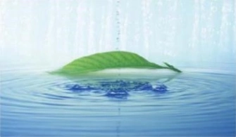 High Temperature 100MM Ceramic Membrane Acid Resistant 1500mm Ceramic Ultrafiltration