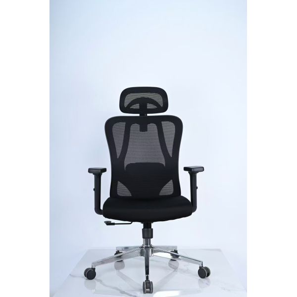 Executive Ergonomic Office Chair with 2D Armrest / 2D Back Lumbar Part