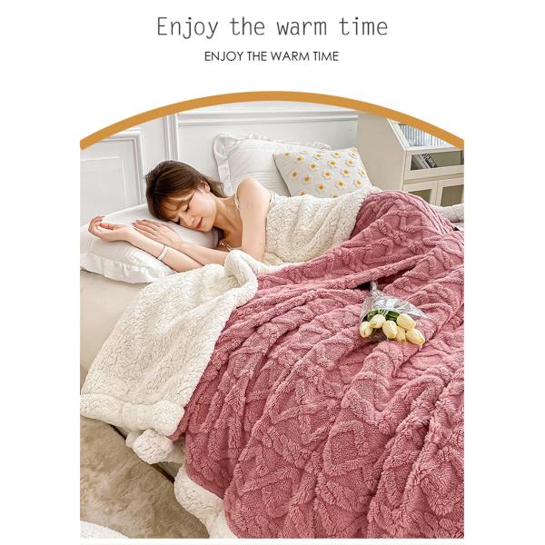 Simple Style Polar Fleece Blanket Double Sided Lamb Cashmere Plaid for Winter Nights