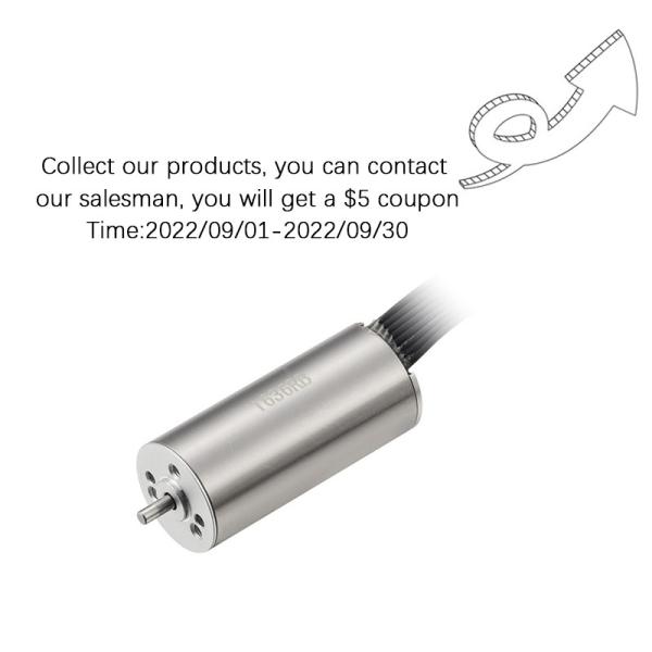 Faradyi Customized Micro Dc Gear Motor  12mm 15mm 17mm 32mm 16v 24v Mini Brushless Bldc Coreless Motor For Tattoo Machine