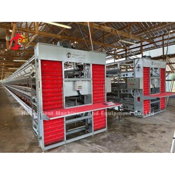 120-200 Chickens Capacity Layer Battery Cage System For 500 To 50000 Chicken Farm Doris