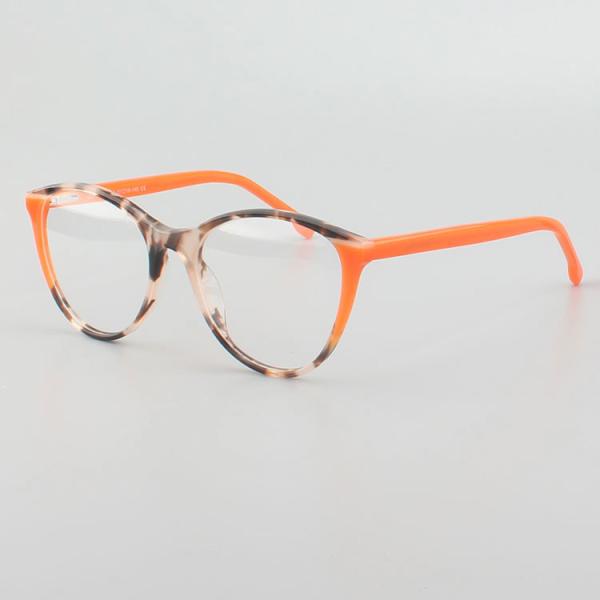 Logo Customized 5 Colours Classic Retro Eyewear For Women