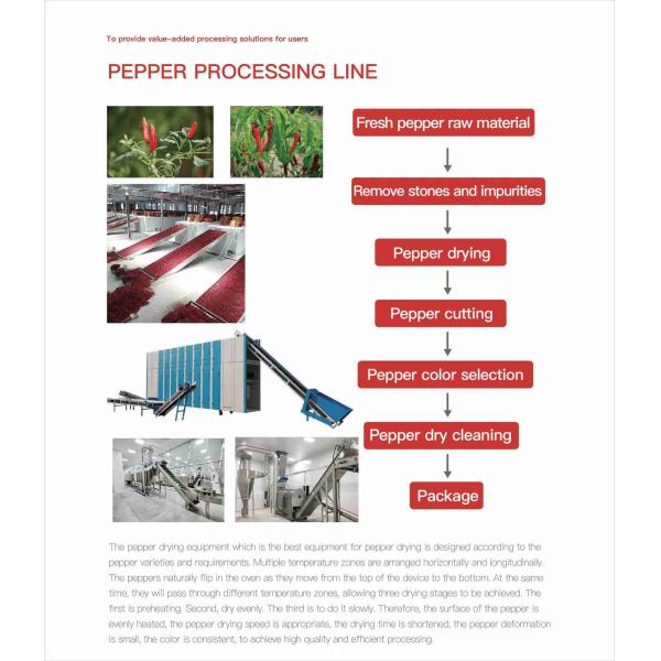 Засыхание технологической линии овоща плода SGS ODM разнослоистое и очищая комбинация