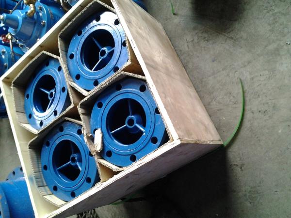Screen Mesh CUSTOM flanged foot valve With Stainless Steel Screen Strainer