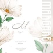 Chinese style national flower Fenghua fresh flower packaging paper