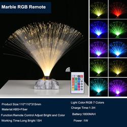 Remote Control Colorful Christmas Xmas Party Decor Luminous Flower Lamp Gradients Led Optic Fiber Star Light