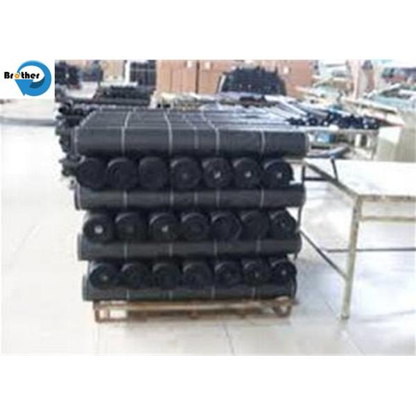Wholesale Factory Price Black Anti-UV PP Woven Weed Mat Ground Cover Weed Control Fabric