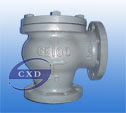 JIS-marine-cast iron swing check valve	 F7372 5k5 F7373 10k