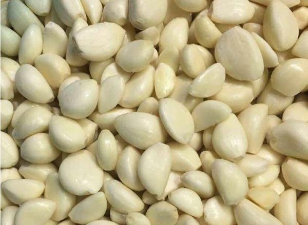 Snow White IQF Frozen Vegetables / Quick Freezing Fresh Garlic Cloves