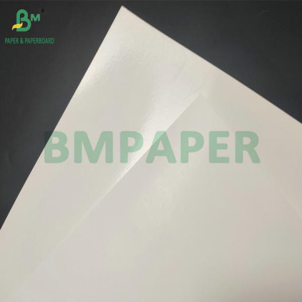 Smooth Surface 290gsm + 15gsm PE SBS Cardboard For Frozen Packaging Box