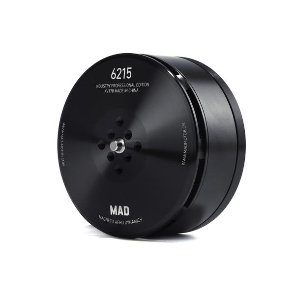 6215 IPE Agriculture Brushless DC Motor For Farm Equipment