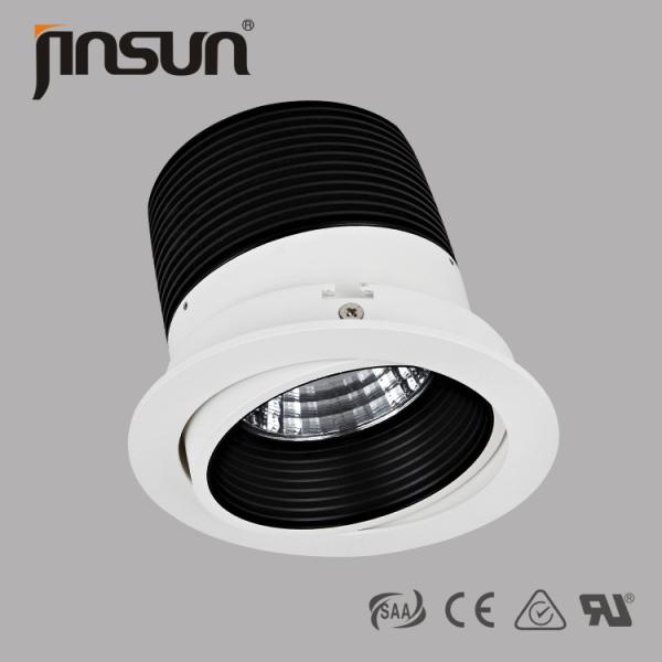 30W led spotlight with Citizen/Cree/Bridgelux cob 24 Degree Of Recessed Led Downlight