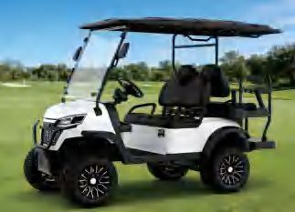 Smart Low Chassis Electric Golf Cart 4 Seats CVT Automatic Electronic Braking Anti-Rollback Downhill Speed Control